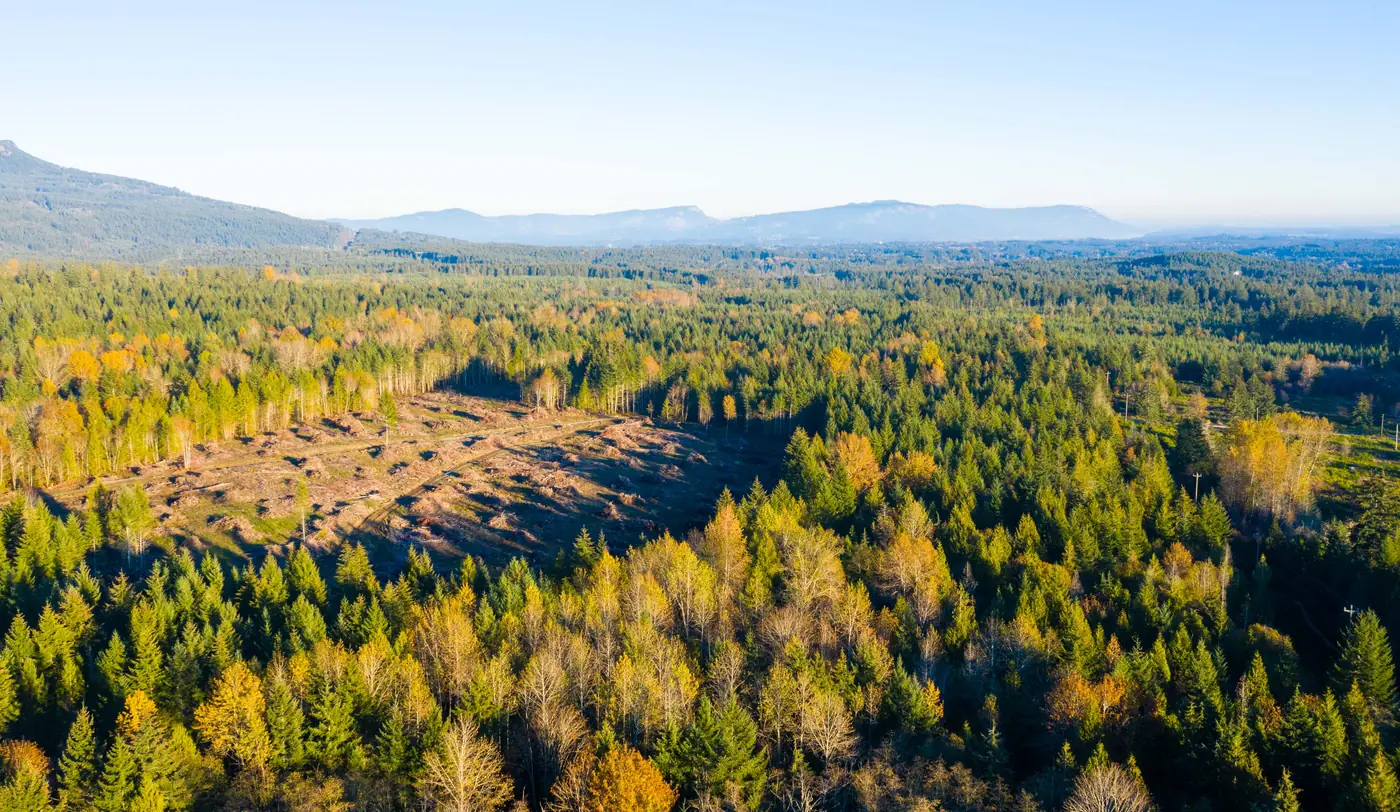 منظر جوي لـElk Ridge وغابات Cowichan Valley المحيطة في الخريف، والجبال في الأفق
